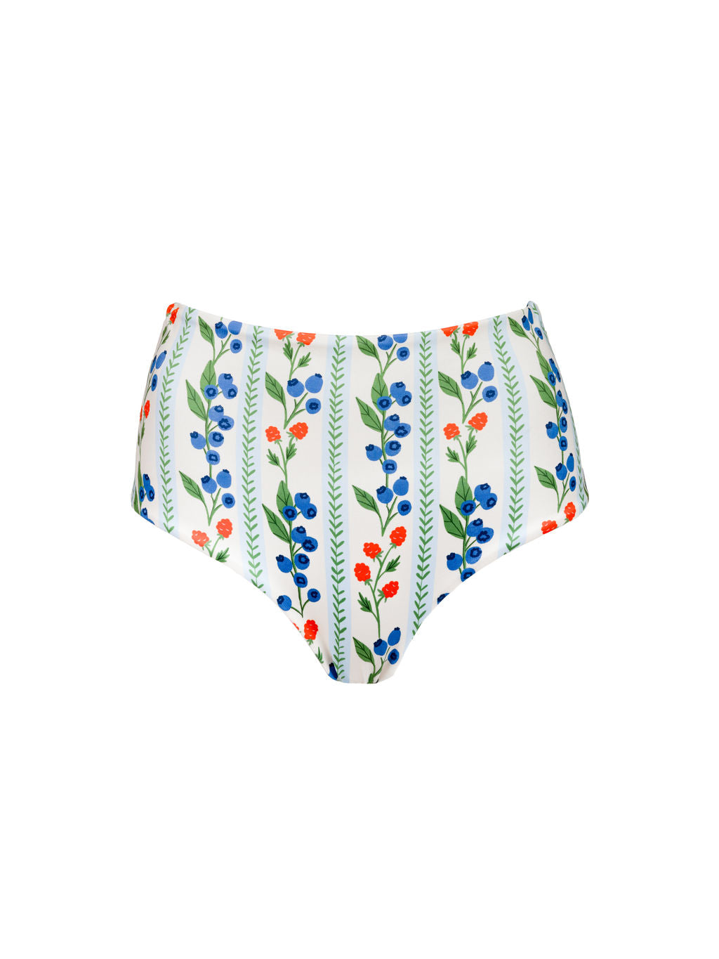 High Waisted Full Coverage Bottoms in Popham